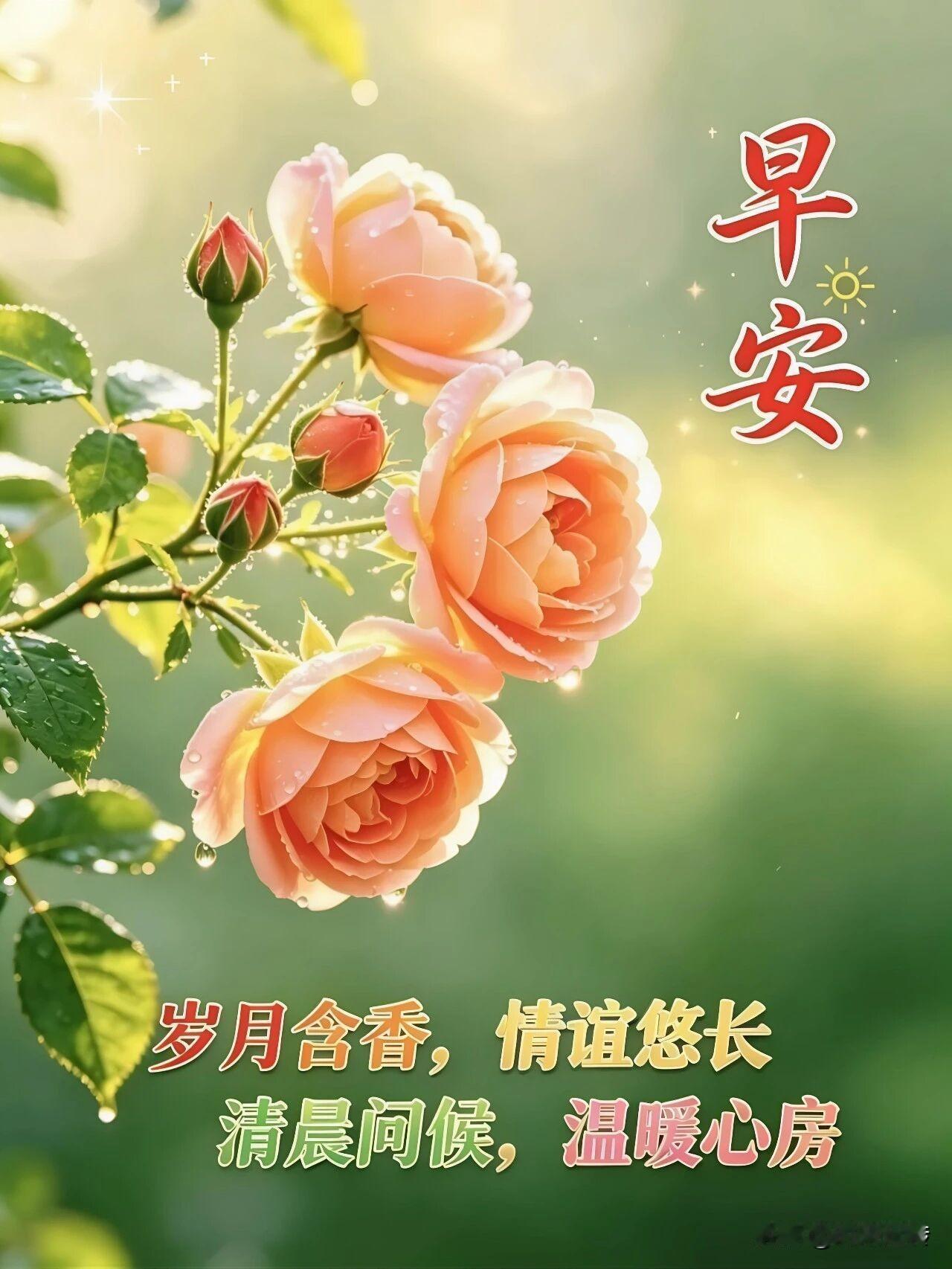 最近昆明又中了一注大乐透，我也想中一注，各位老铁一起来研究研究
第一注:3 19