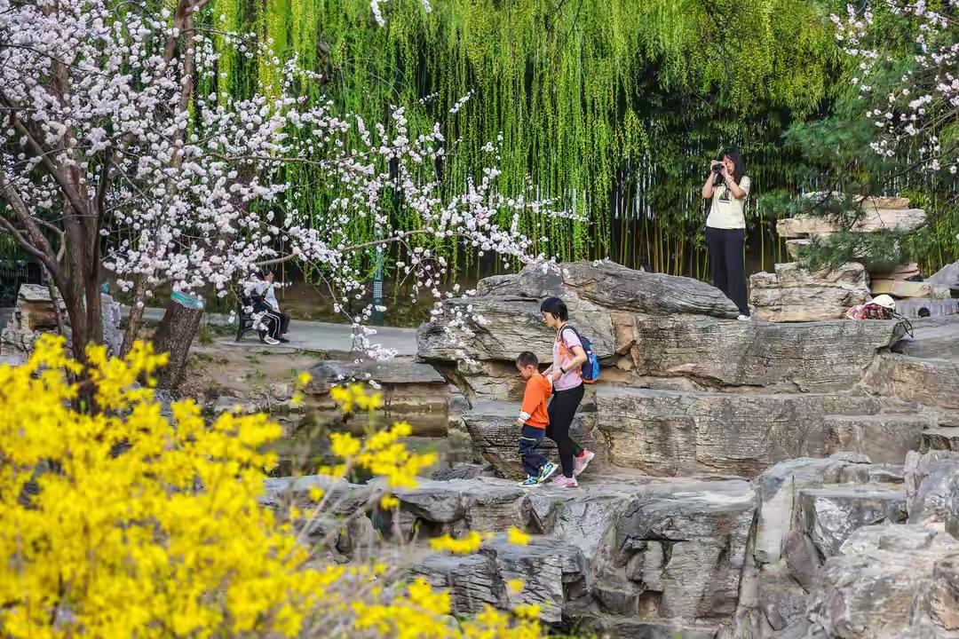 媒体：春假不只是“多一个假期” 春假可不只是多放几天假这么简单！从学生角度看，春