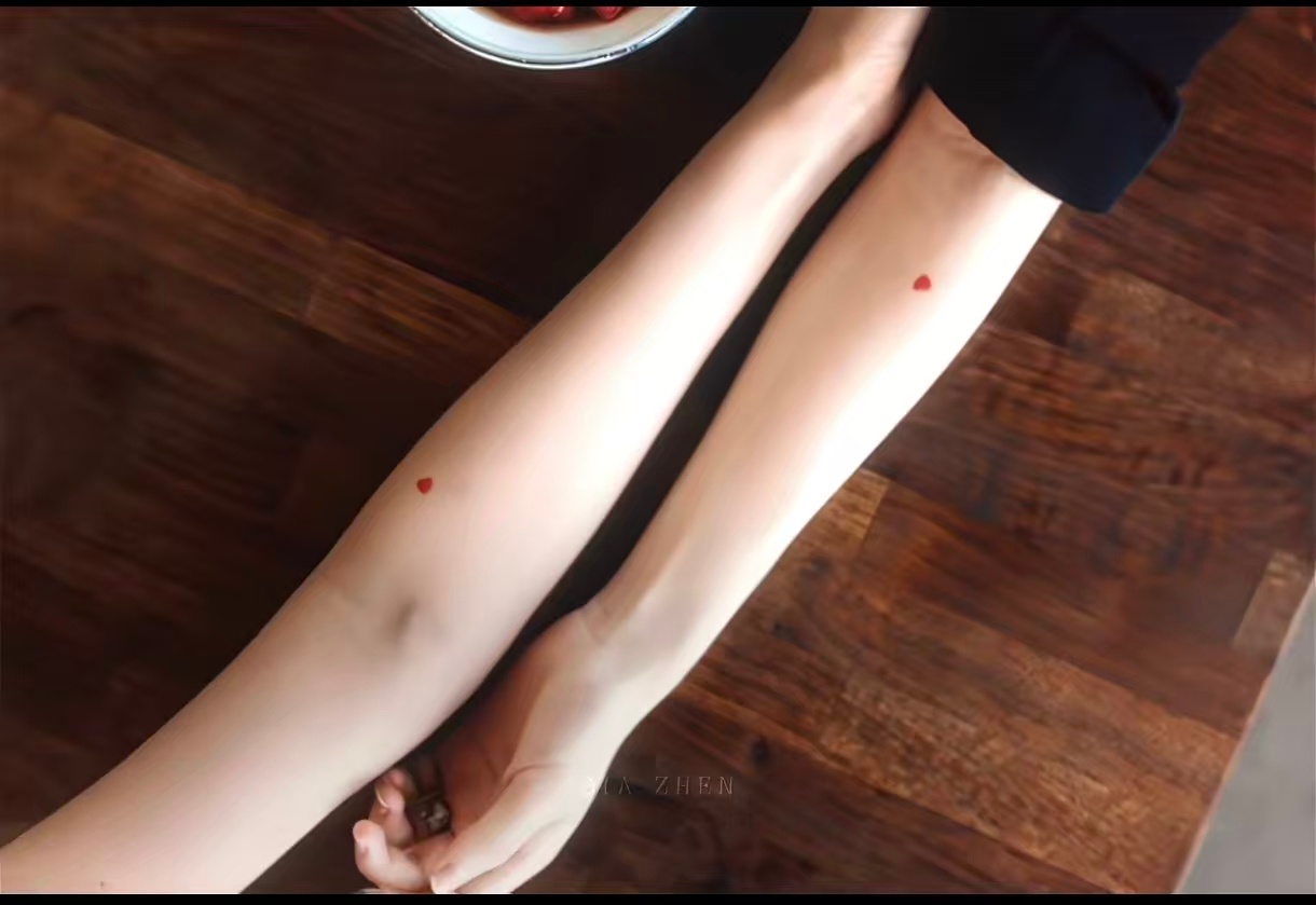 双生卫蓝互换命运两个卫蓝两种绝境 长相完全相同的两个女孩，一个是笔耕不辍的作家，