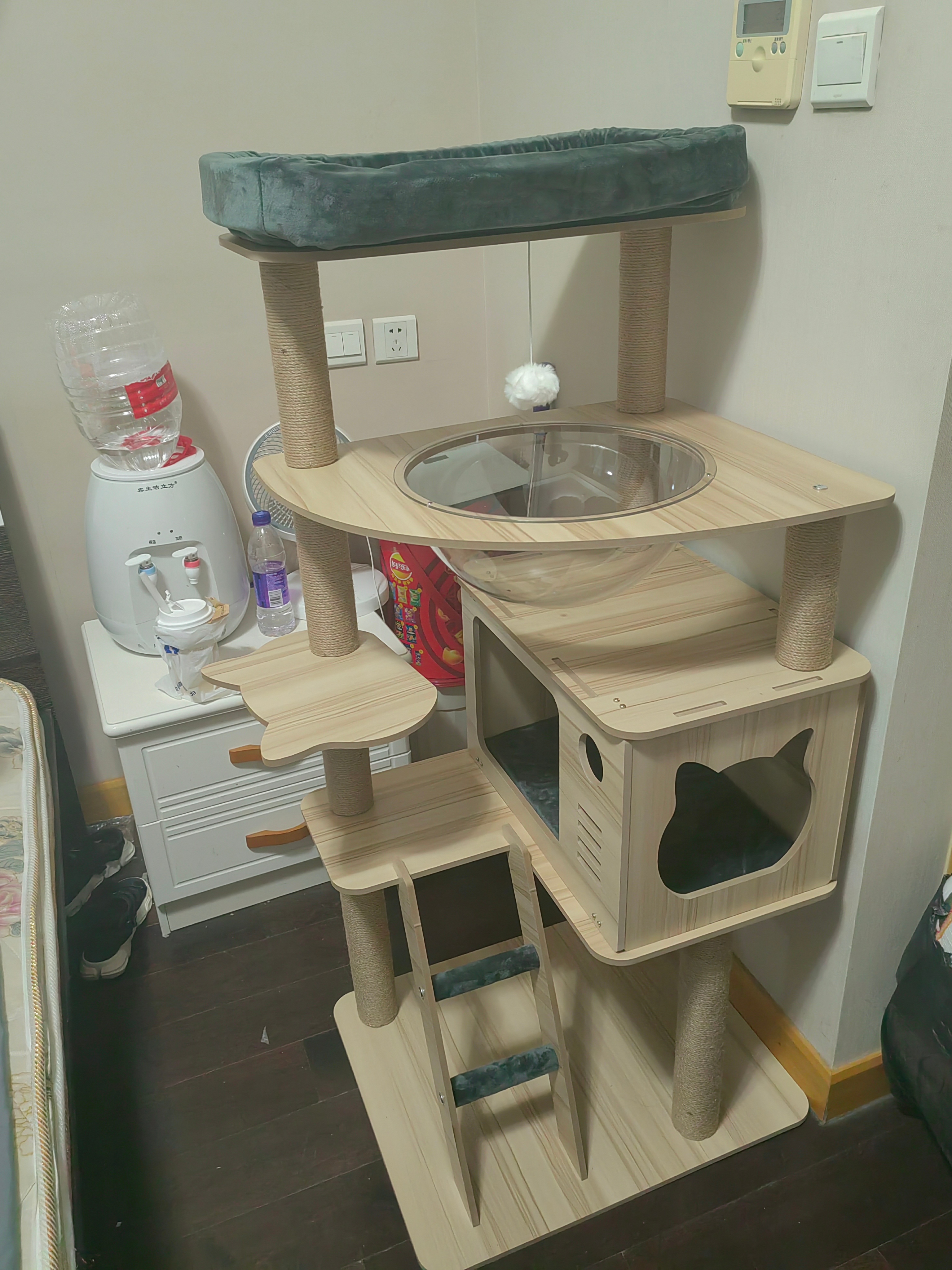 ←想让猫在的地方猫实际上在的地方→ 
