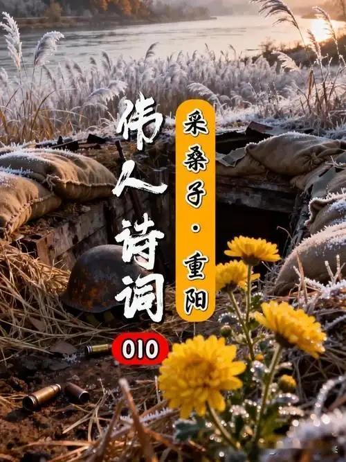 一天一词牌（154）：彻底搞懂“采桑子”词牌格律！

昨日我写了《李煜“采桑子·