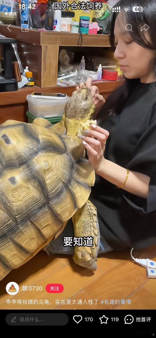 羡慕…. 