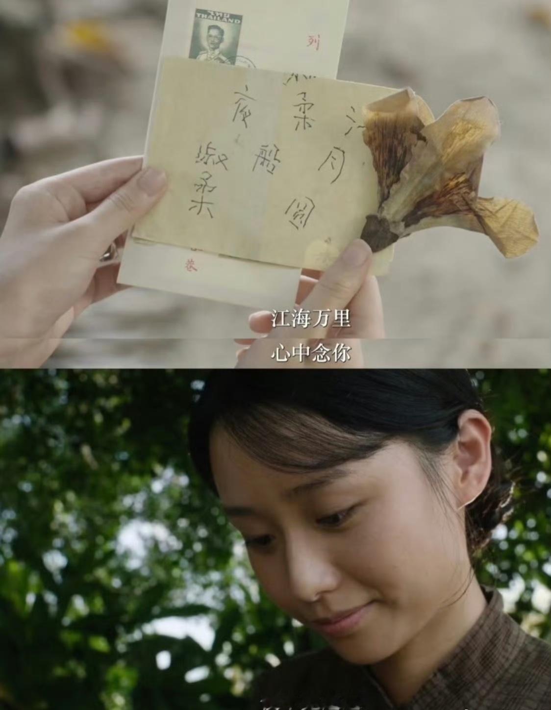 给阿嬷的情书在厨综出番外了一饭封神 告别繁复珍稀食材，菜园里随处可见的蔬菜香草成