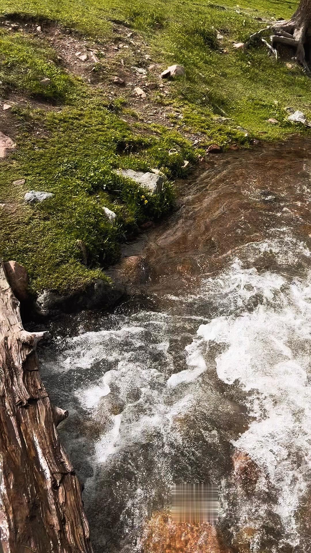 你交友太少 样本不足，无法理解人性的灰度  40岁中年人给后生的建议 ...