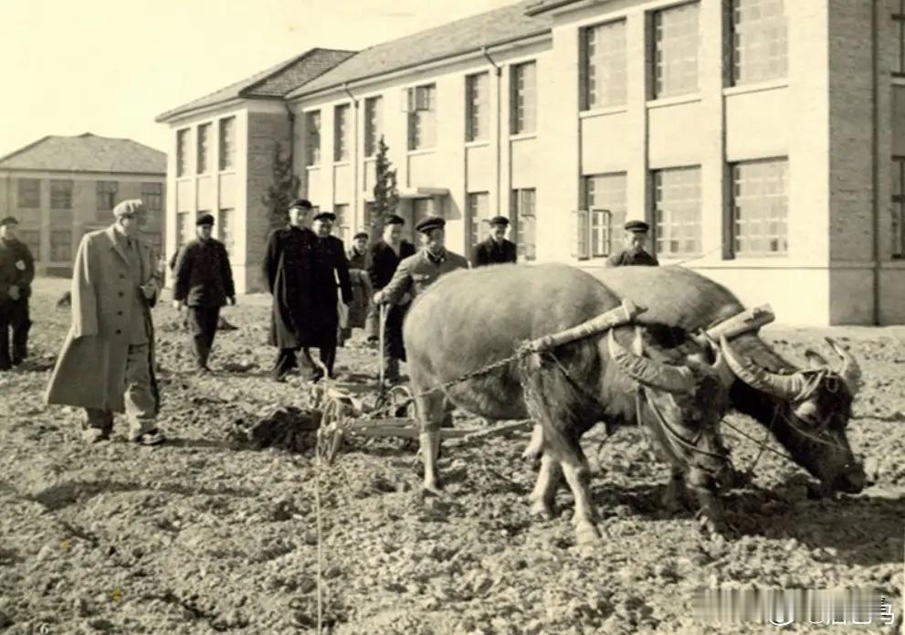 1958年1月初，毛泽东主席在杭州主持召开中央工作会议。1月5日下午，在浙江省委