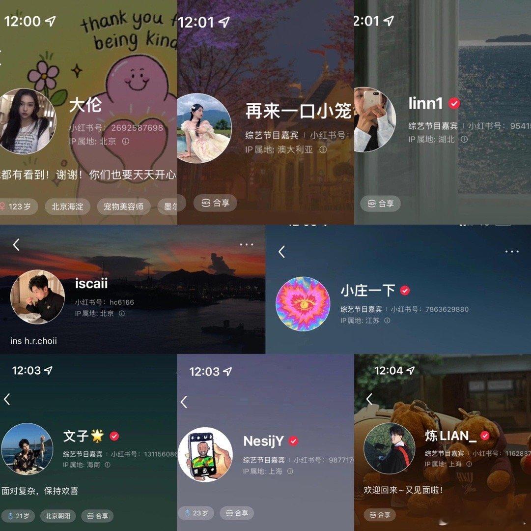 这应该叫怦然赚钱的20岁，看到大家都签了公司 果然 各种节目只是一个平台而已……