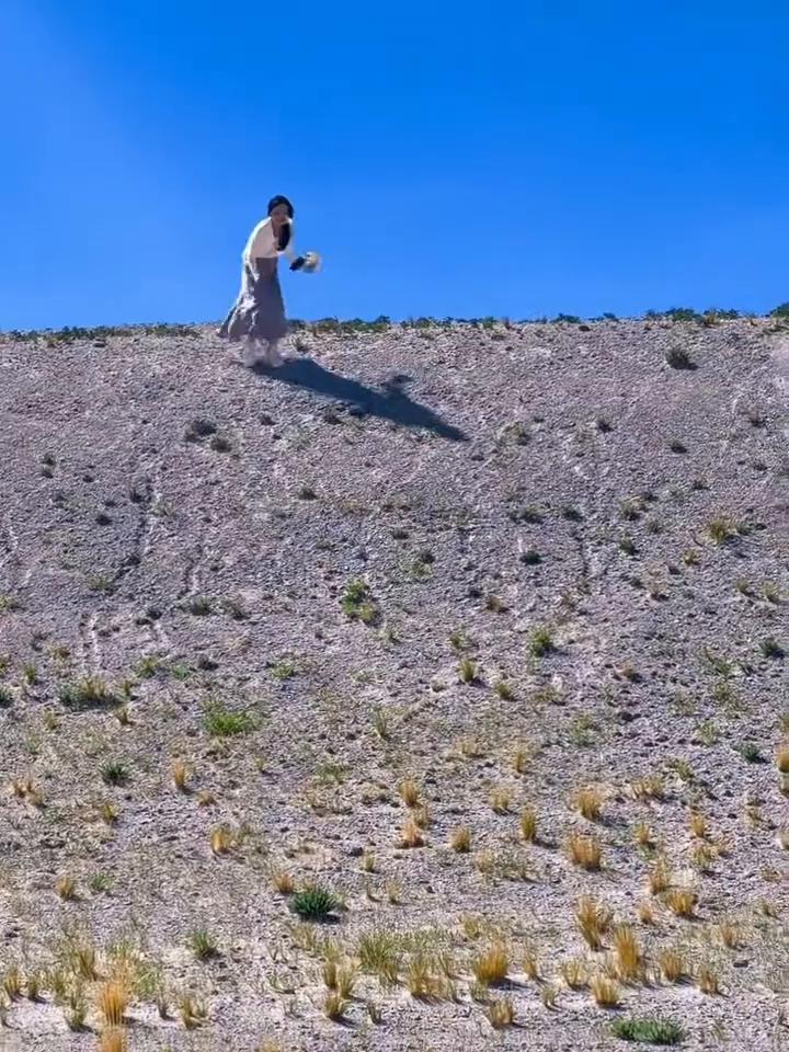 假日出游倒霉，刹不住车了。
猴子：给点吃的。我美吗？不堪重妇。还回来吃饭吗？孙悟