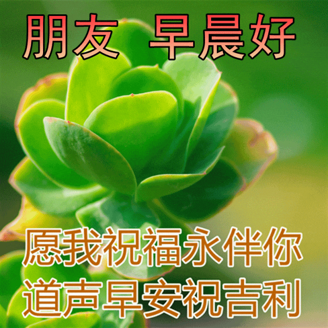 清晨自带治愈滤镜 放下昨日所有烦恼与遗憾 不慌不忙，稳步生长 所有美好与好运，正