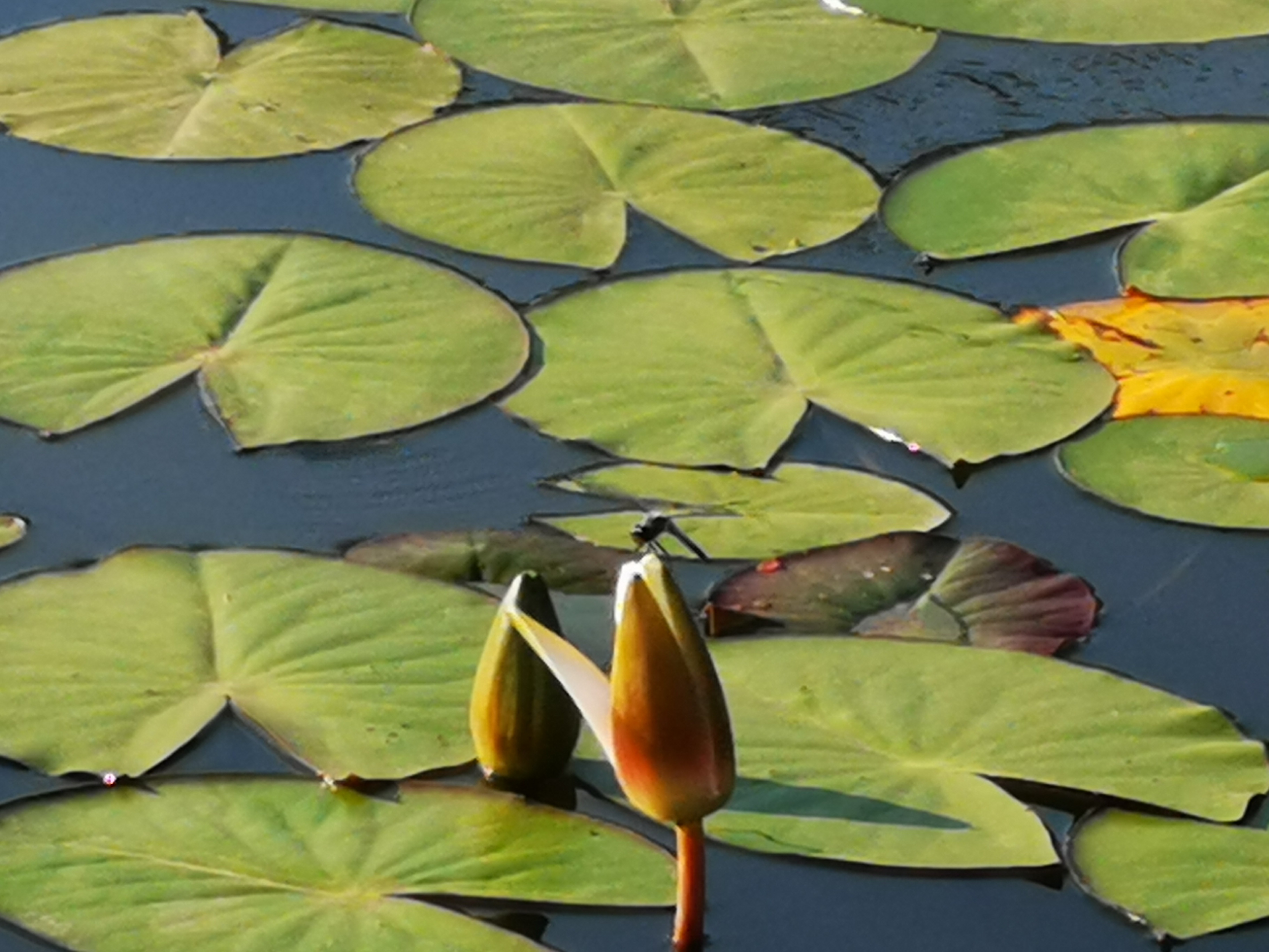 2025完美收官，祝各位2026年笑口常开，万事顺意！热点观点