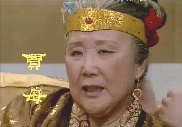 《红楼梦》中贾母太会聊天了。
 还有一个场景也能表现出老太太会聊天，第四十二回，