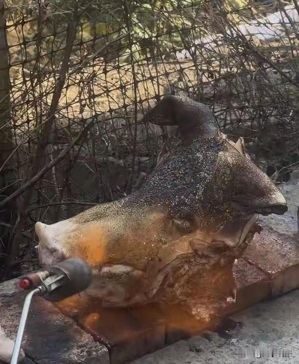 湖南株洲渌口杀猪宴全网爆火！21岁女孩一句“我也有爸爸也有猪”引千人跨省赴约，传