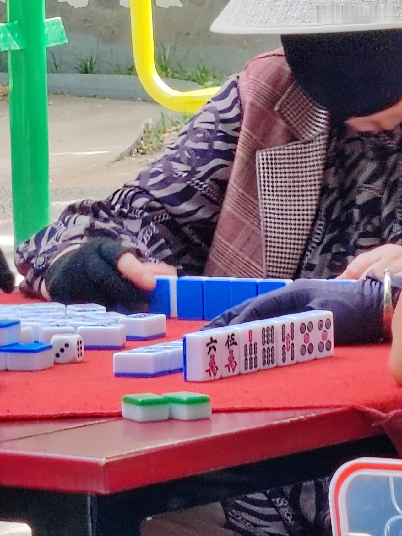 六月随手拍一一听牌了。