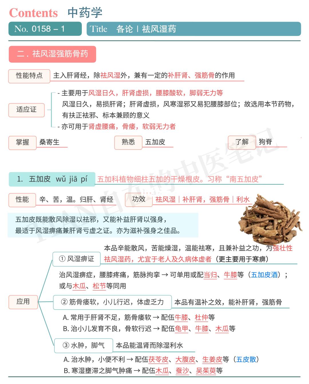 学中医第158天｜中药学｜祛风湿药（下）含总结