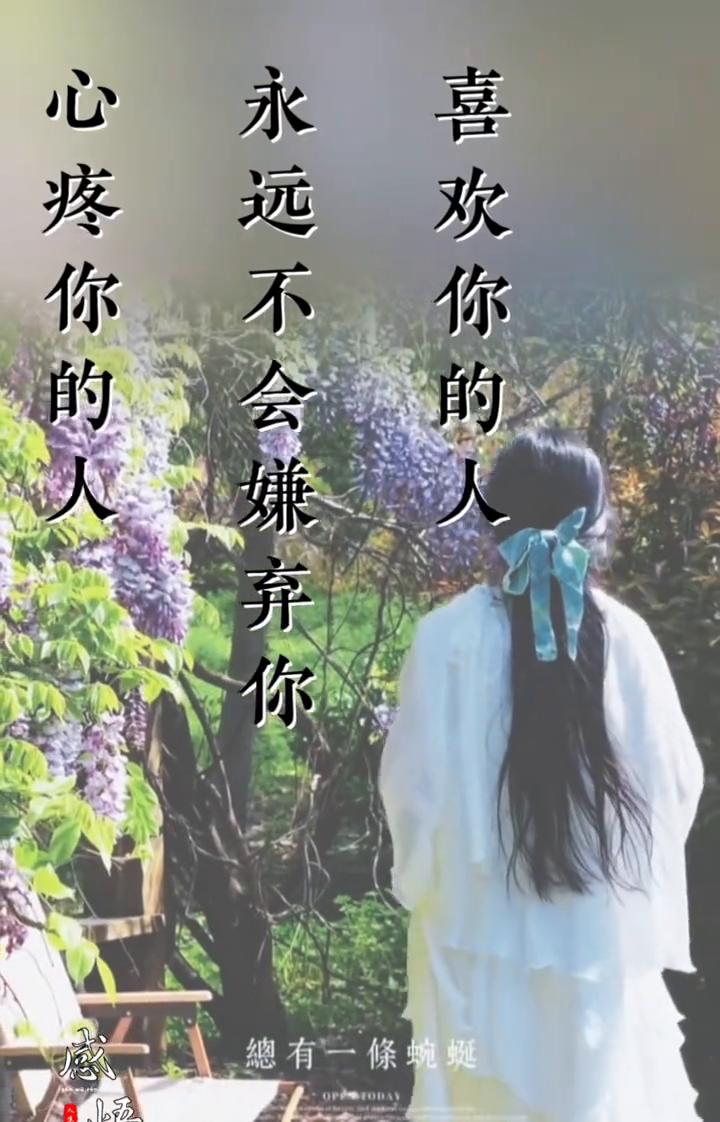 喜欢你的人永远不会嫌弃你，心疼你的人永远都不会抛弃你，想念你的人永远比你更主动，