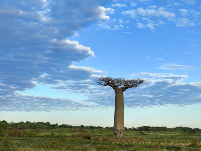 张晚意花儿与少年收官文张晚意去的时候陌生忐忑回来的时候满满的友谊 张晚意花儿与少