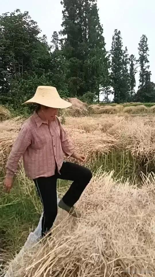 农活确实是生动的生活课，看看巫溪和四川华蓥的例子就知道了。5月9日，巫溪县上磺镇