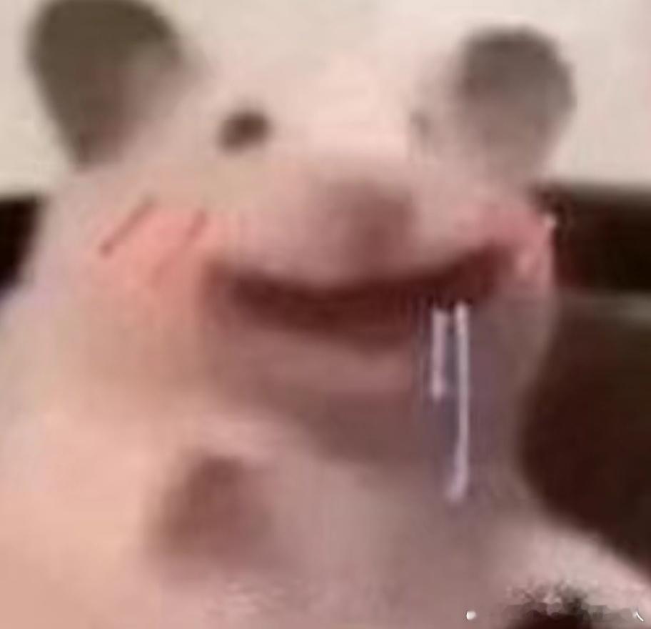 我上辈子不会是个年糕吧，我咋这么爱吃年糕，好想定居在盛产年糕的城市🤤 ​​​