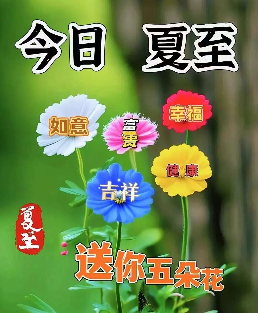 今日夏至，清凉、舒心、财运、健康、平安、喜乐、吉祥全都如约而至，愿整个夏天心情舒