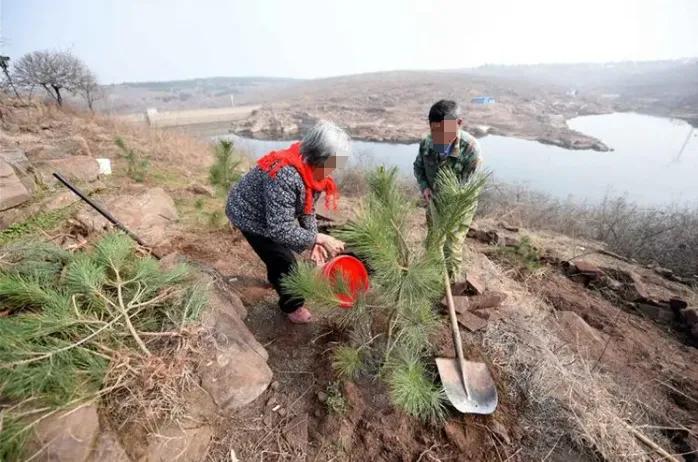 震惊！郑州一男子干了件大事，他全然不顾家人劝阻，毅然承包下 250 亩荒山。本想