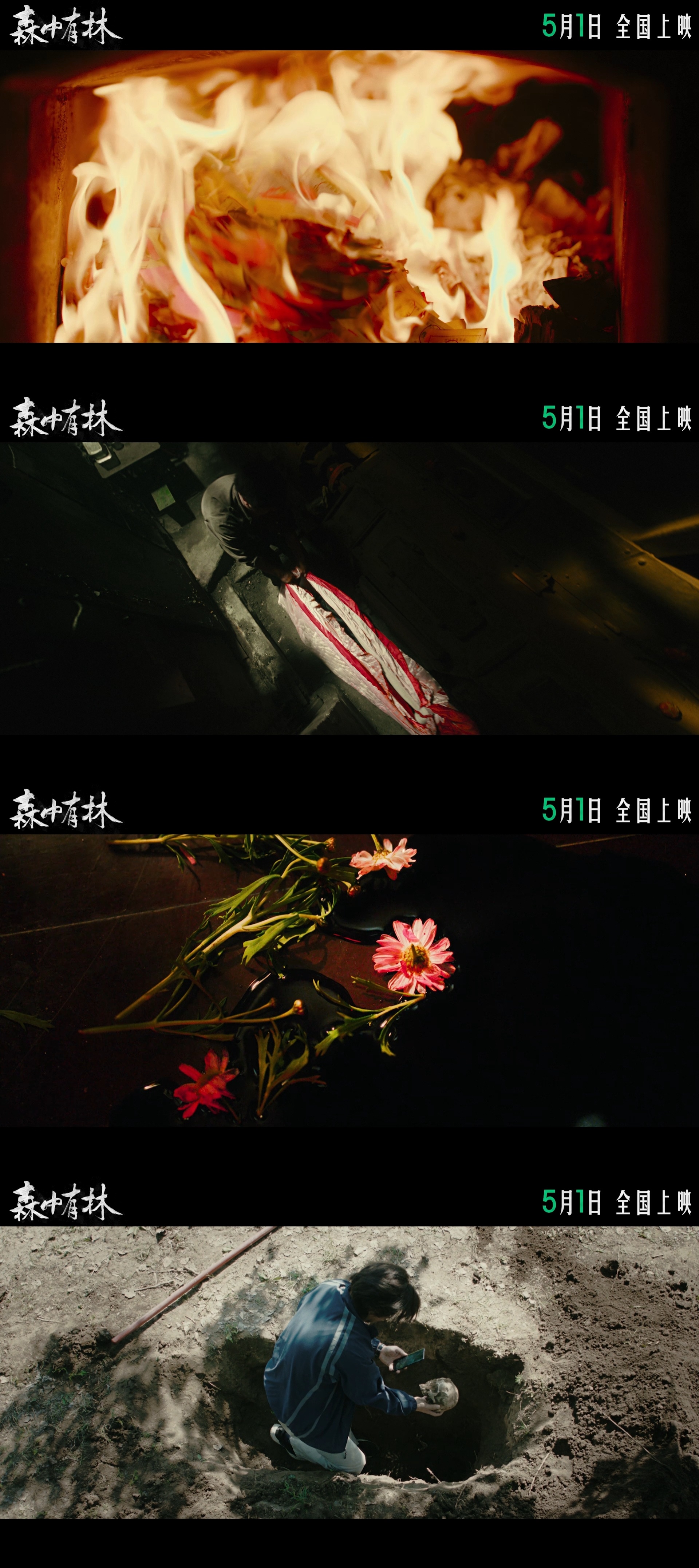 电影森中有林定档于和伟高圆圆演绎东北爱恨情仇五一档已拉开序幕！《森中有林》官宣定