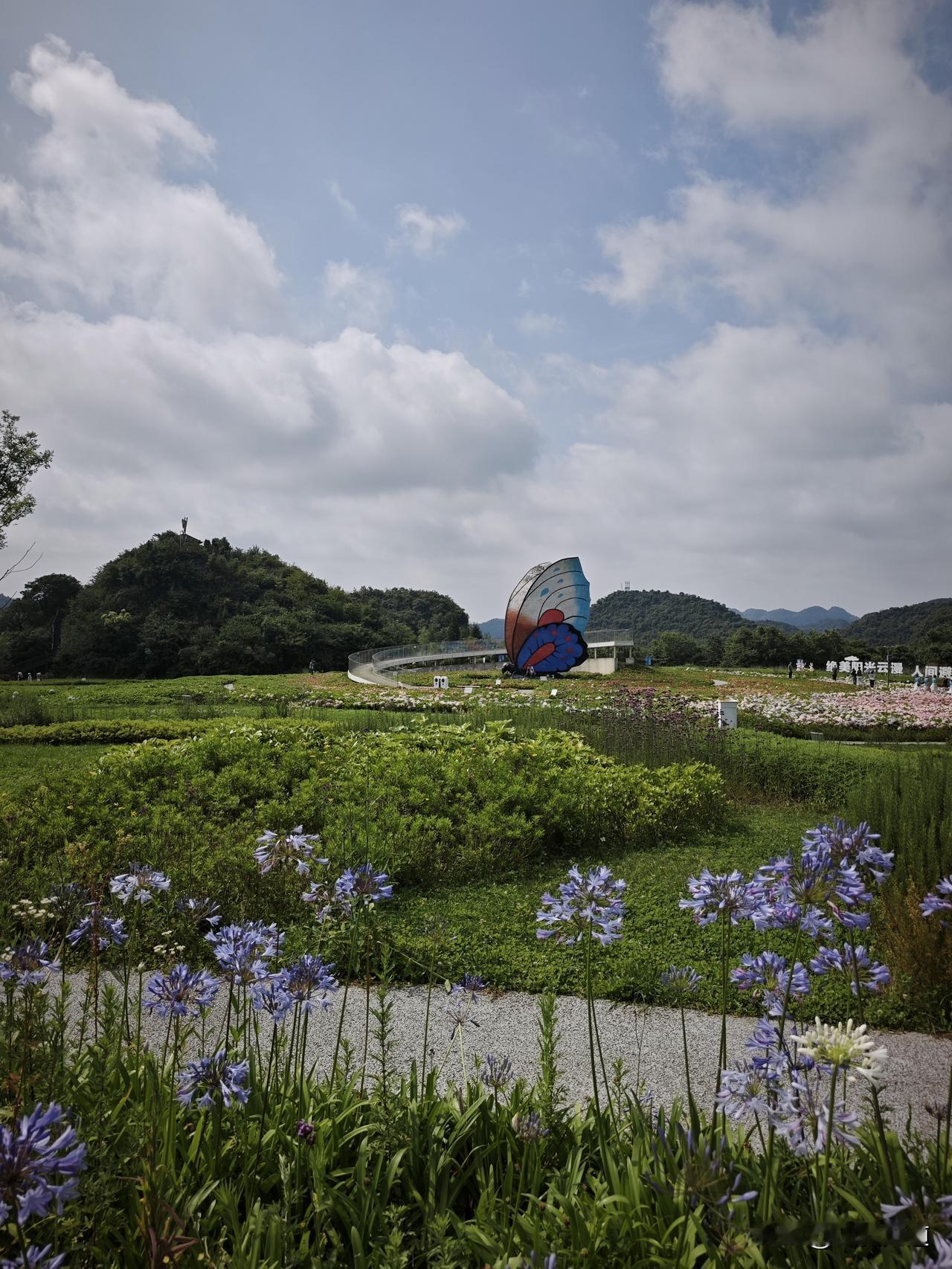 百里杜鹃彝山花谷
从百里杜鹃1号露营地去彝山花谷很近，就是太阳大了晒人。
记录我