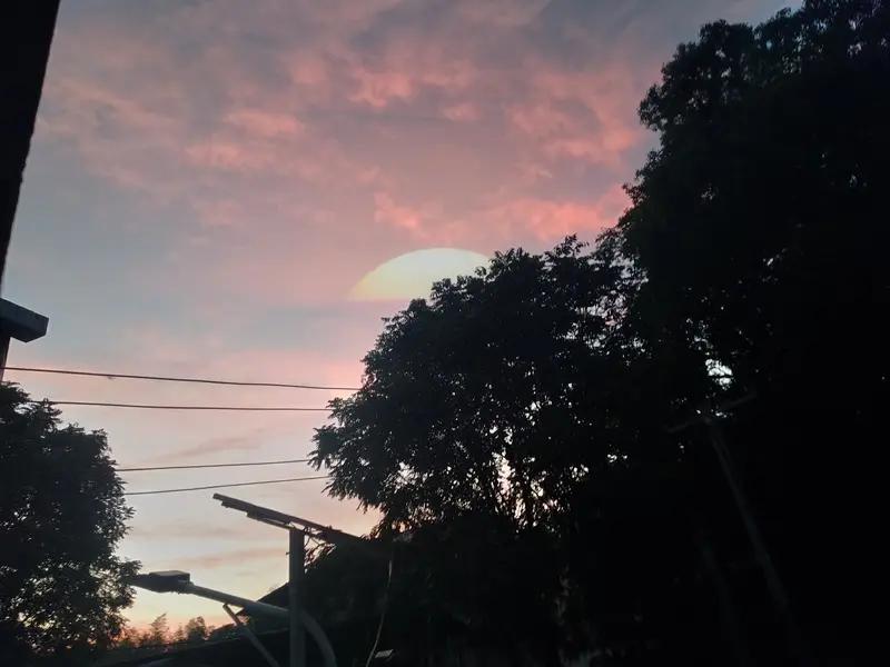 刚才有个本地号给我打电话，我犹豫要不要接。平常除了我爸，没人用手机号给我打电话了