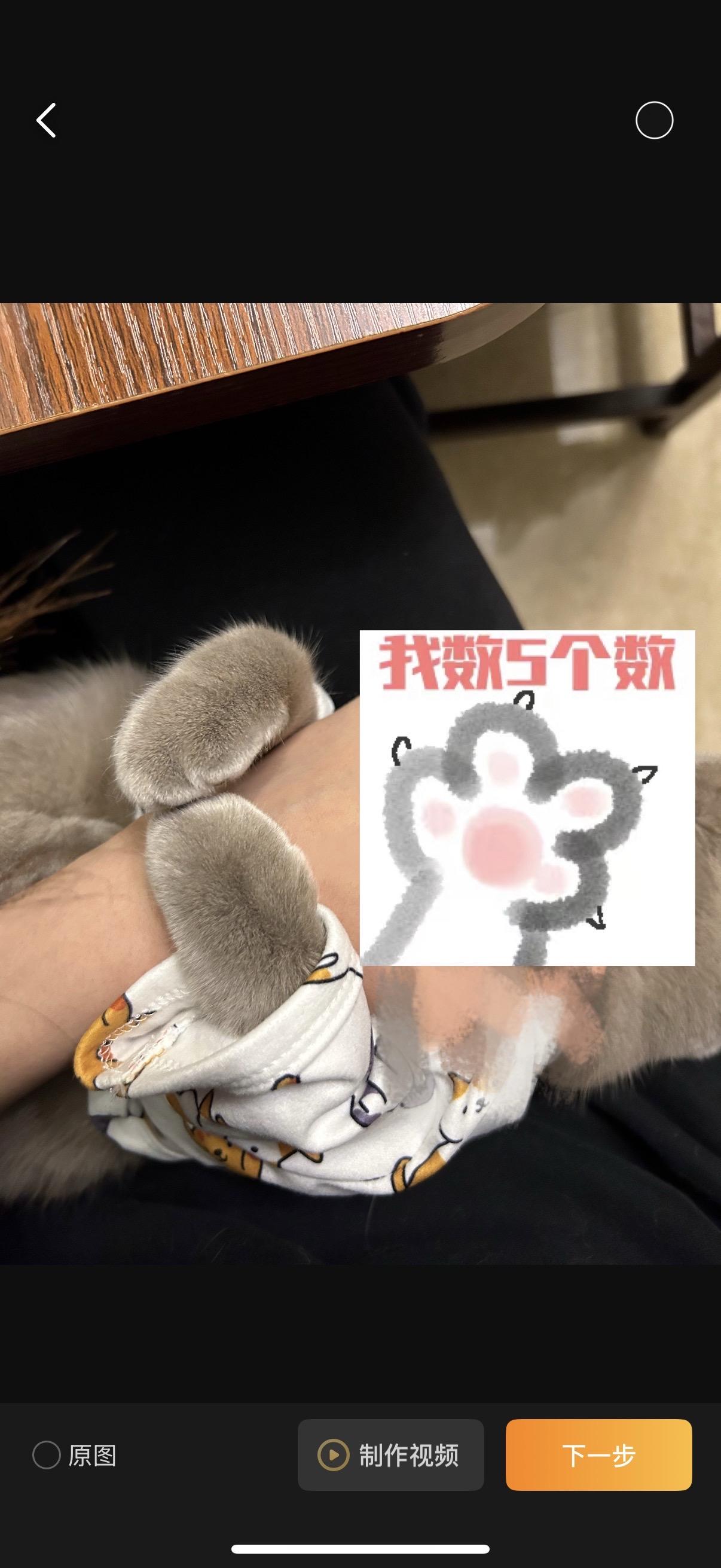 🐱 😽