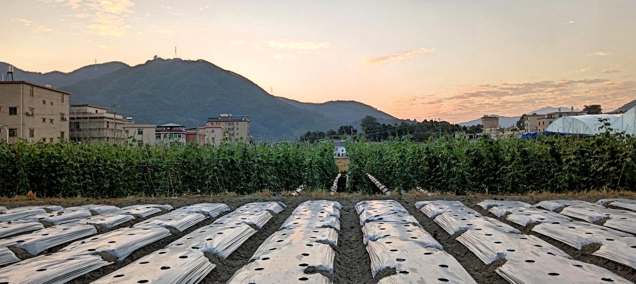漳州市——长泰区林墩《西山日落》