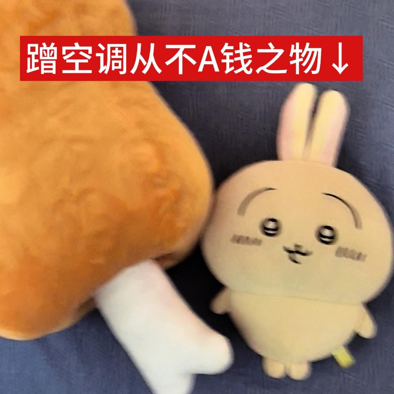 】到底谁在喜欢这个兔 