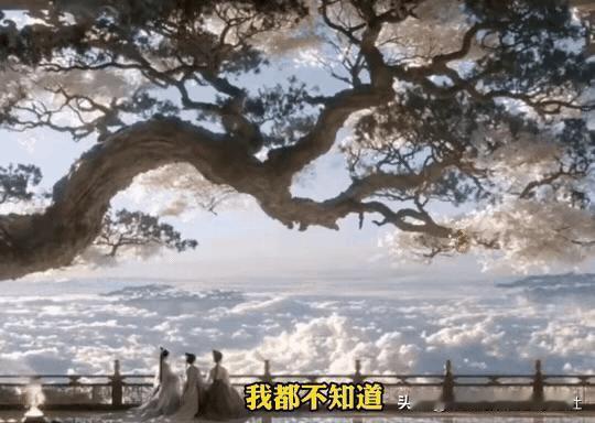 “火到海外了！”成都，一位90后眼镜店老板闲的没事干，他不沉迷玩手机，也不带女朋