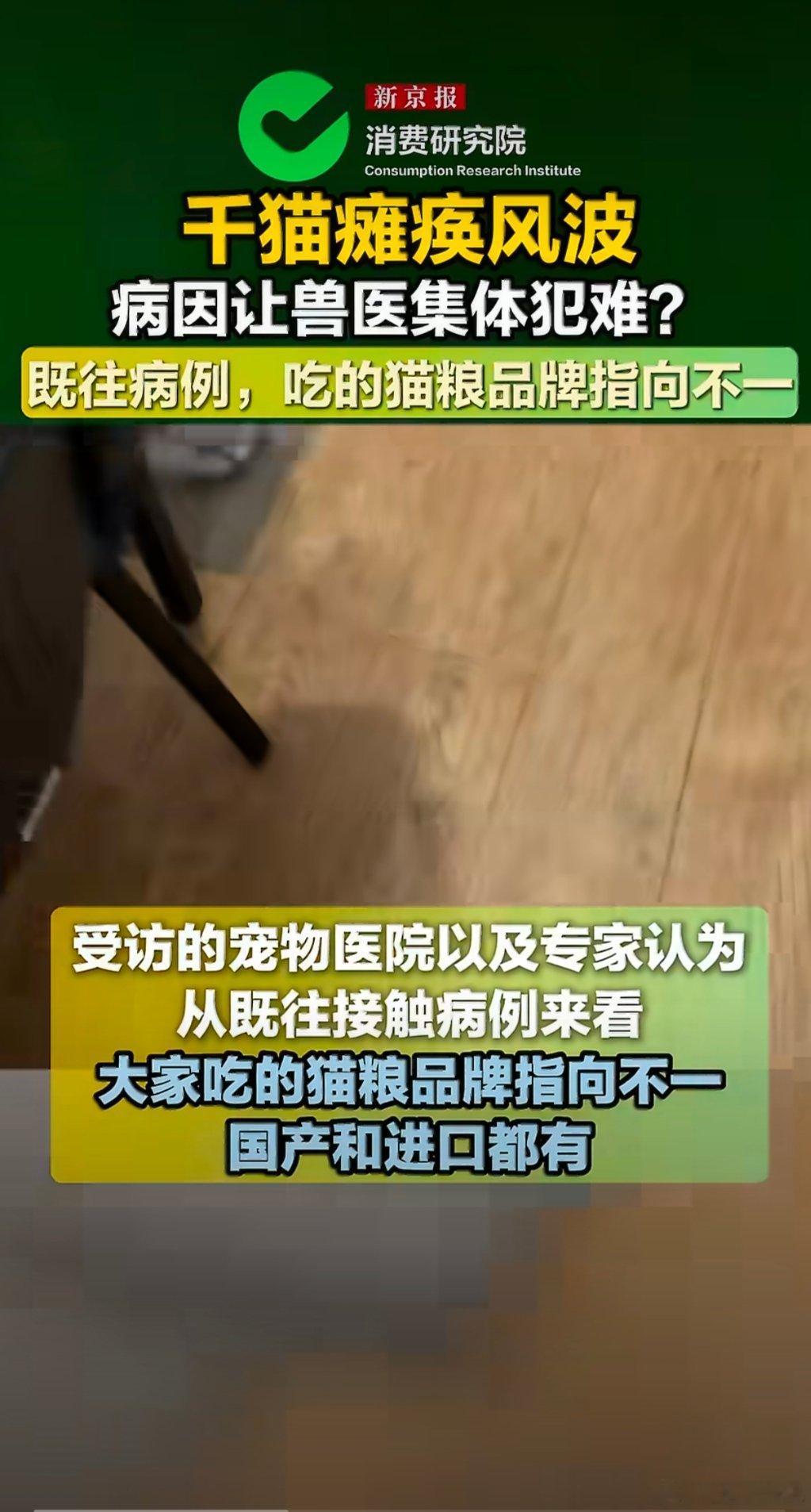 千猫瘫痪多地医院真相调查实地走访多家宠物医院了解千猫瘫痪事件真相，兽医表示不存在