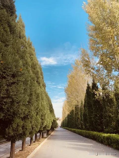 如果说，你总是觉得没选的那条路开满鲜花。

那么，真选了那条路或许也不过如此。其