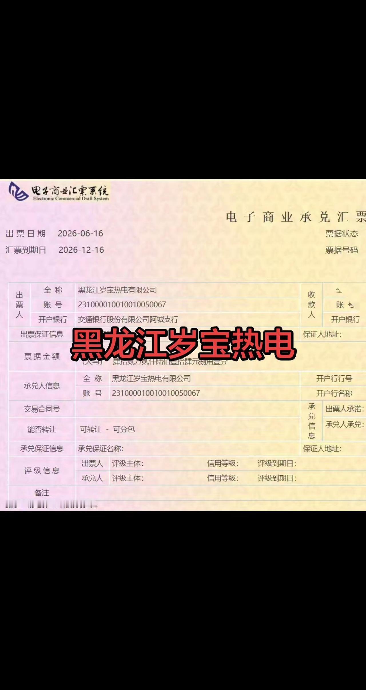 黑龙江岁宝热电