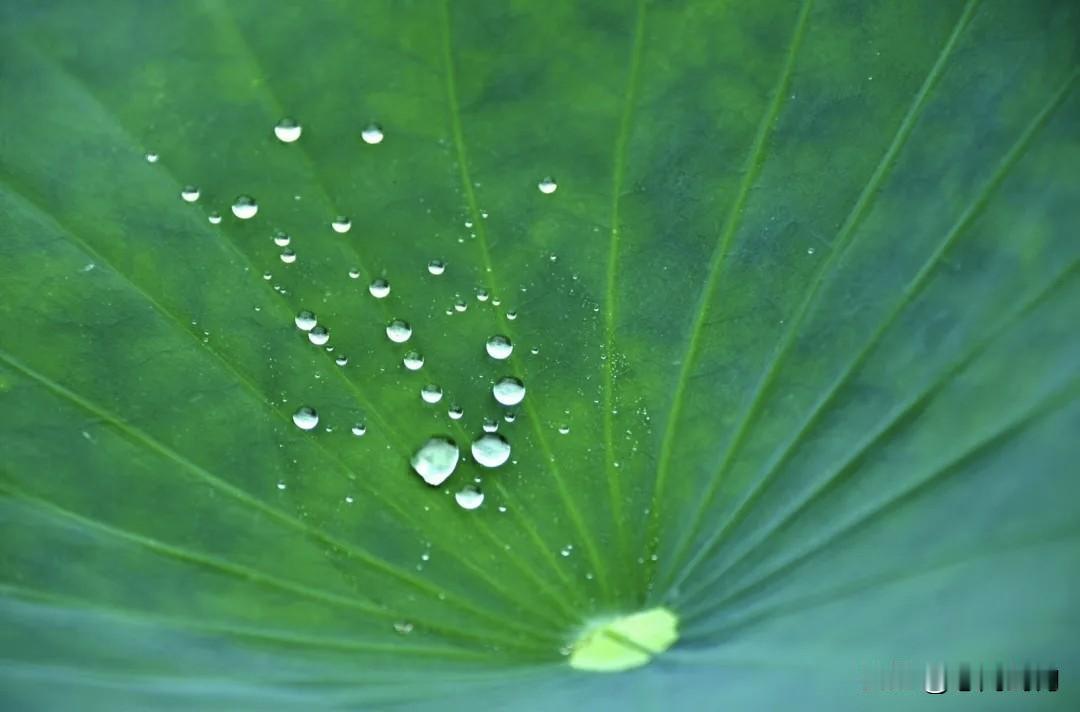 夏日雨天