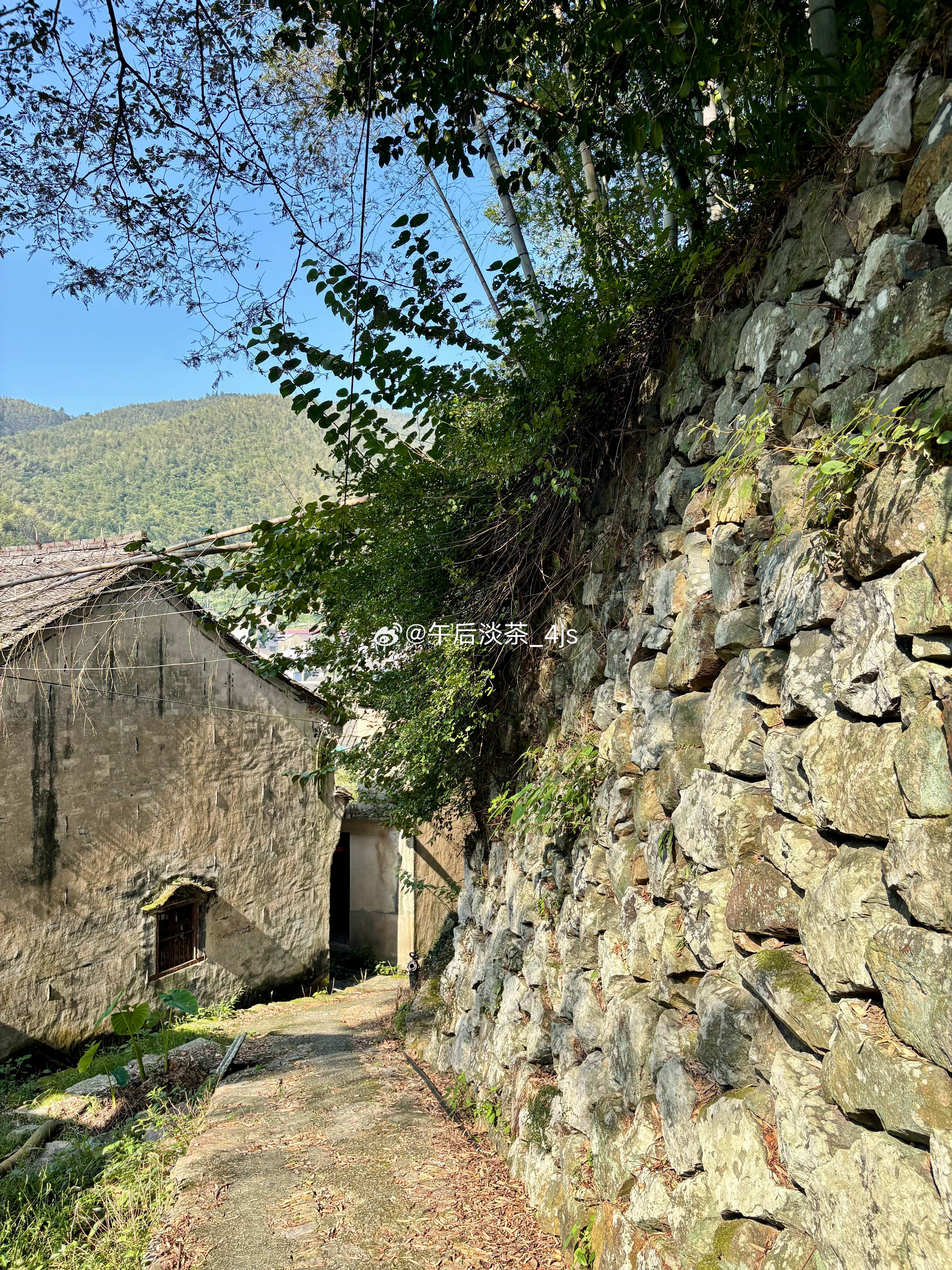 今天爬山的起点东山村，村里有的是空置的老屋和老人……不过，今天第一次看到了三种植