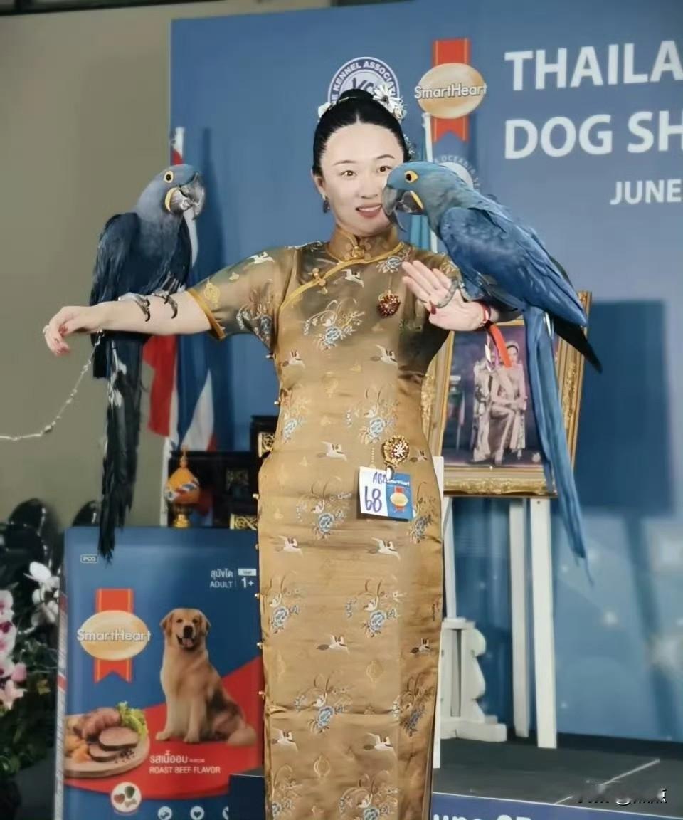 霍思燕现身泰国宠物展，现场可爱互动吸睛满满。恰逢自家爱犬拿下比赛第一名，网友忍不