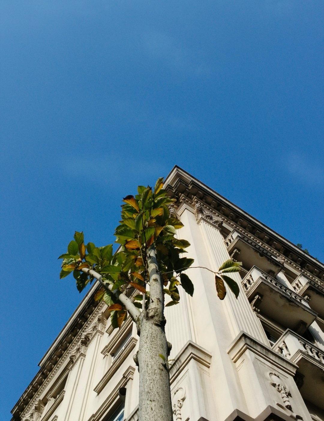 重庆这座城市就是
夏天那么热的时候偏偏都是大晴天大太阳
酷热难挨，让人烦闷
到了