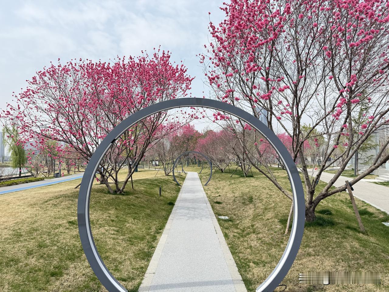 一直算不清楚那天退票费为什么要收我14元？
我本来打算清明节假日最后一天下午到西