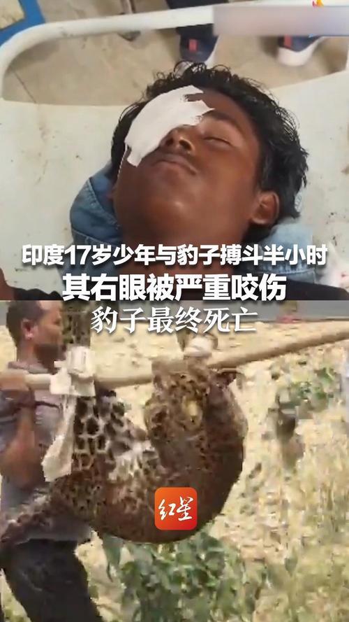 古有武松打虎，今有印度少年杀豹
武松打虎也不是没有可能，毕竟武松是武艺高强的英雄