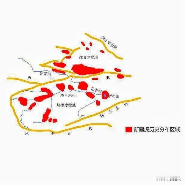 新疆以前是有老虎的，世代居住于塔里木河流域的罗布人，不仅捕鱼也会打猎，而塔里木河
