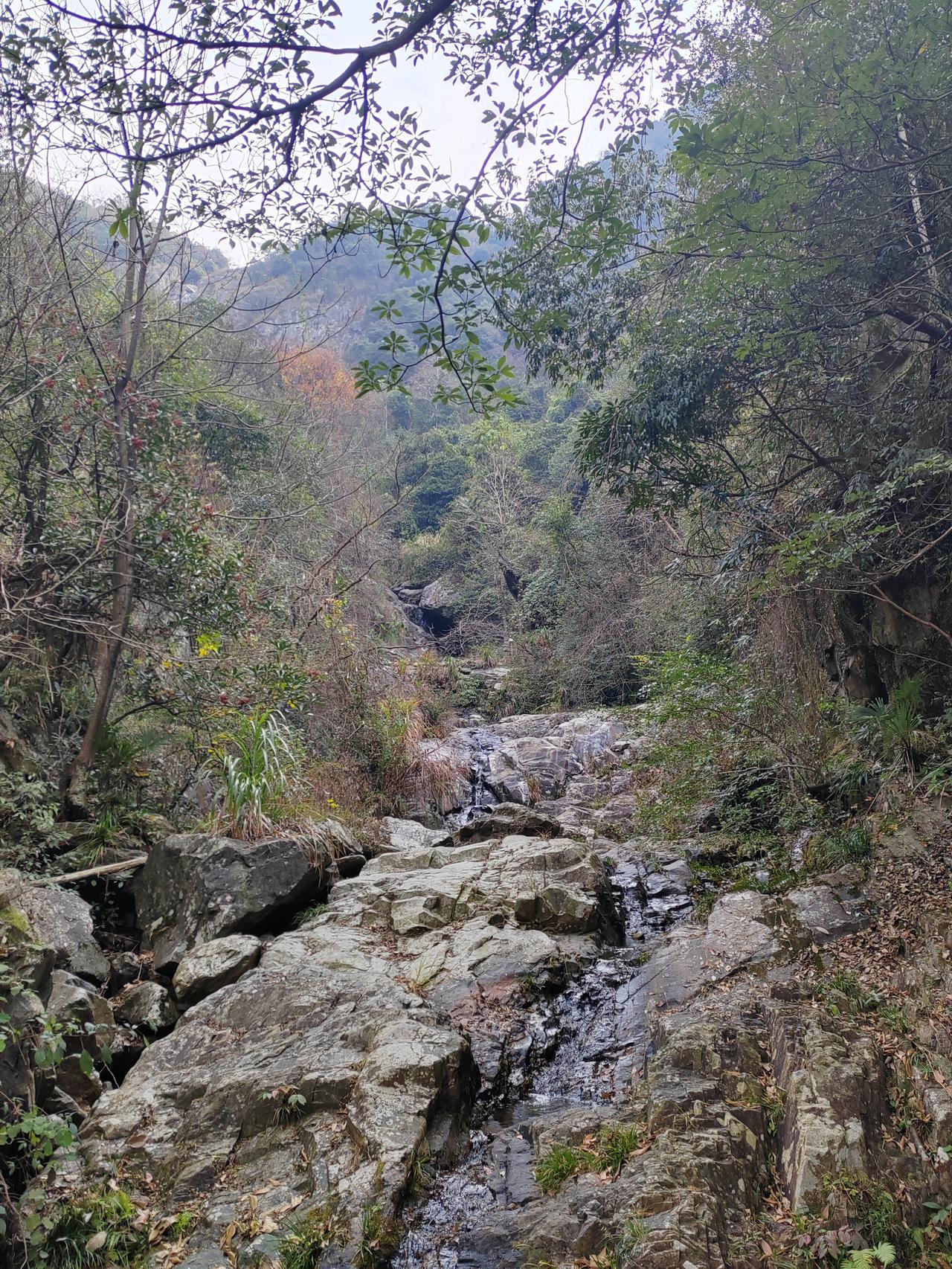 分享一张最近随手拍的照片桃花源居图