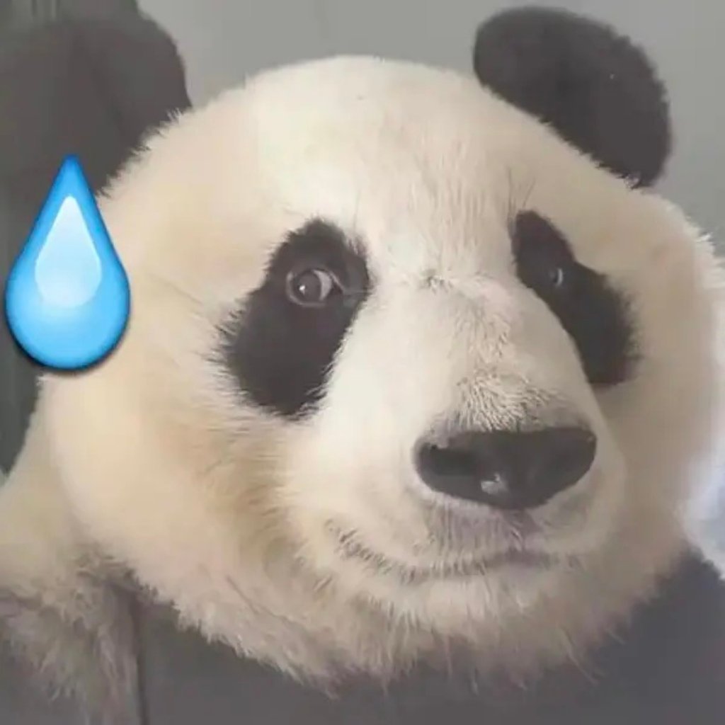 其实弯弯很多艺人都可以来内地营销情怀翻红，但是内地却很难去弯弯分一些资源。 