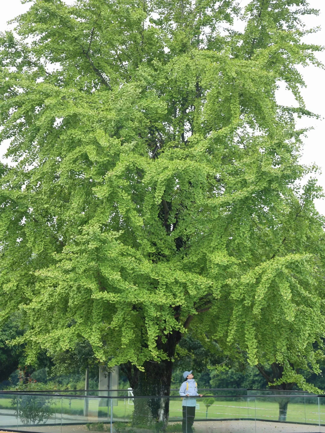 不要放弃下午四点