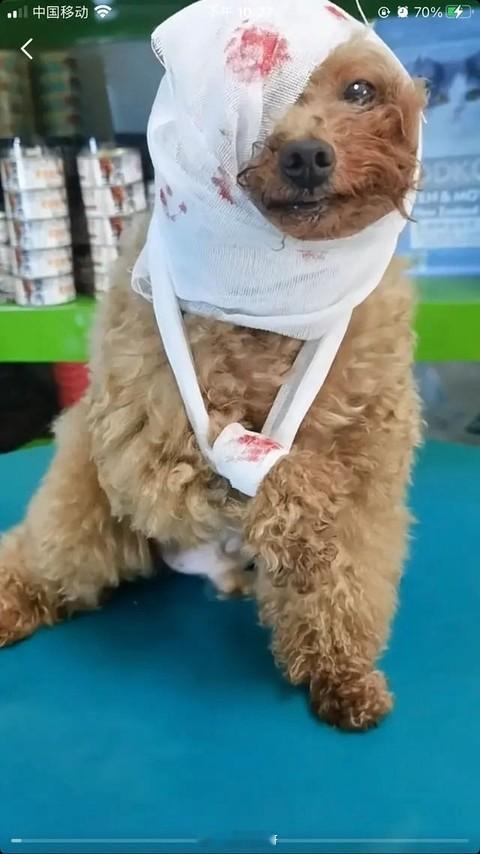朋友，你觉得自己孤陋寡闻吗？你害怕自己落后于时代吗？你担心自己见识浅薄吗？你想学