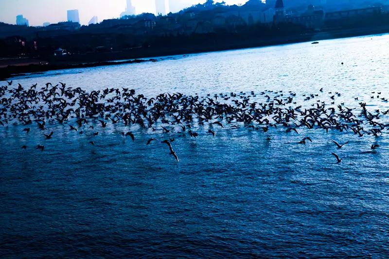 上联：碧空悠荡几朵云；念姐邀对海上飞翔无数鸟。