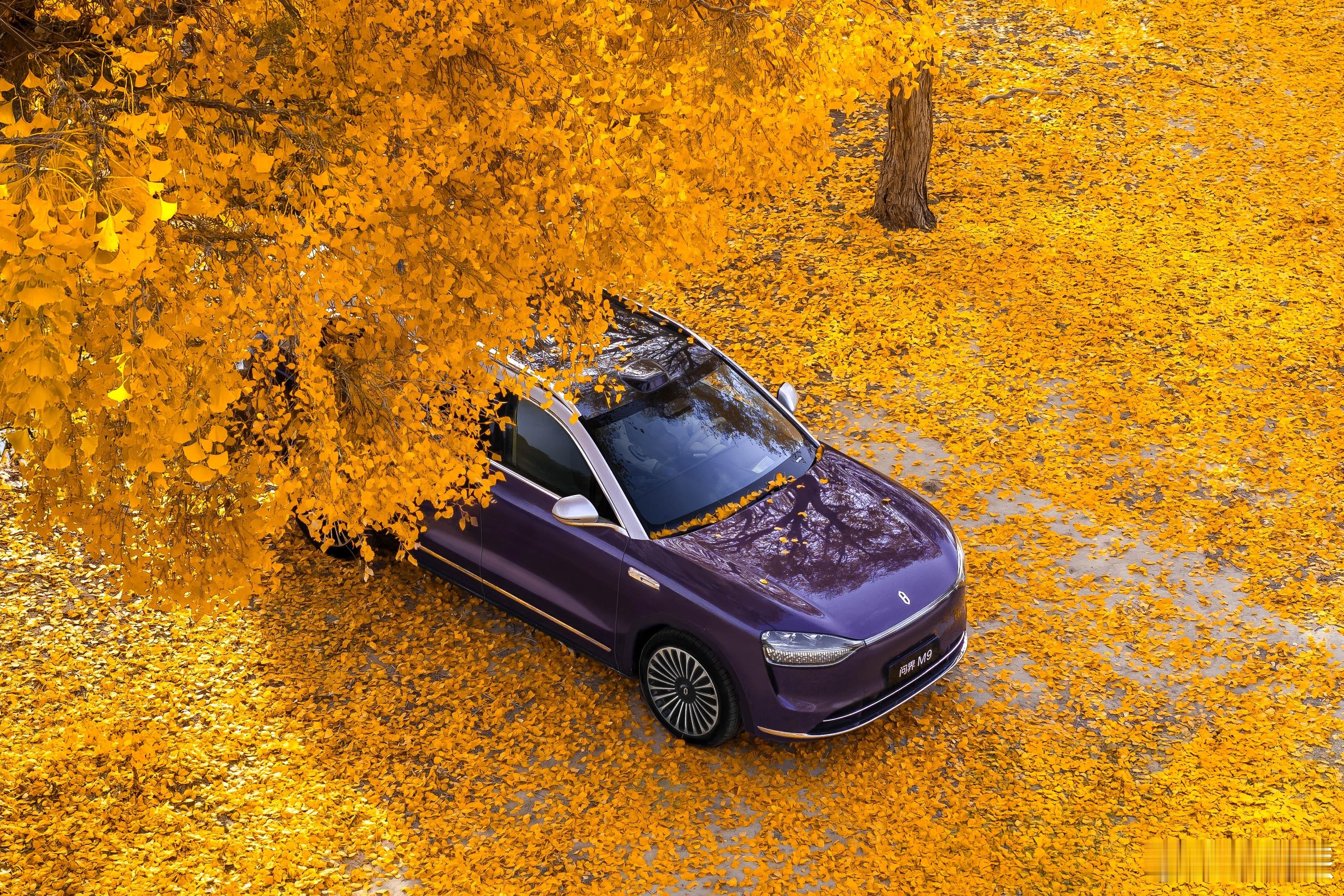 问界M9这组图也太美了！把车开进画里也不过如此！ ​​​