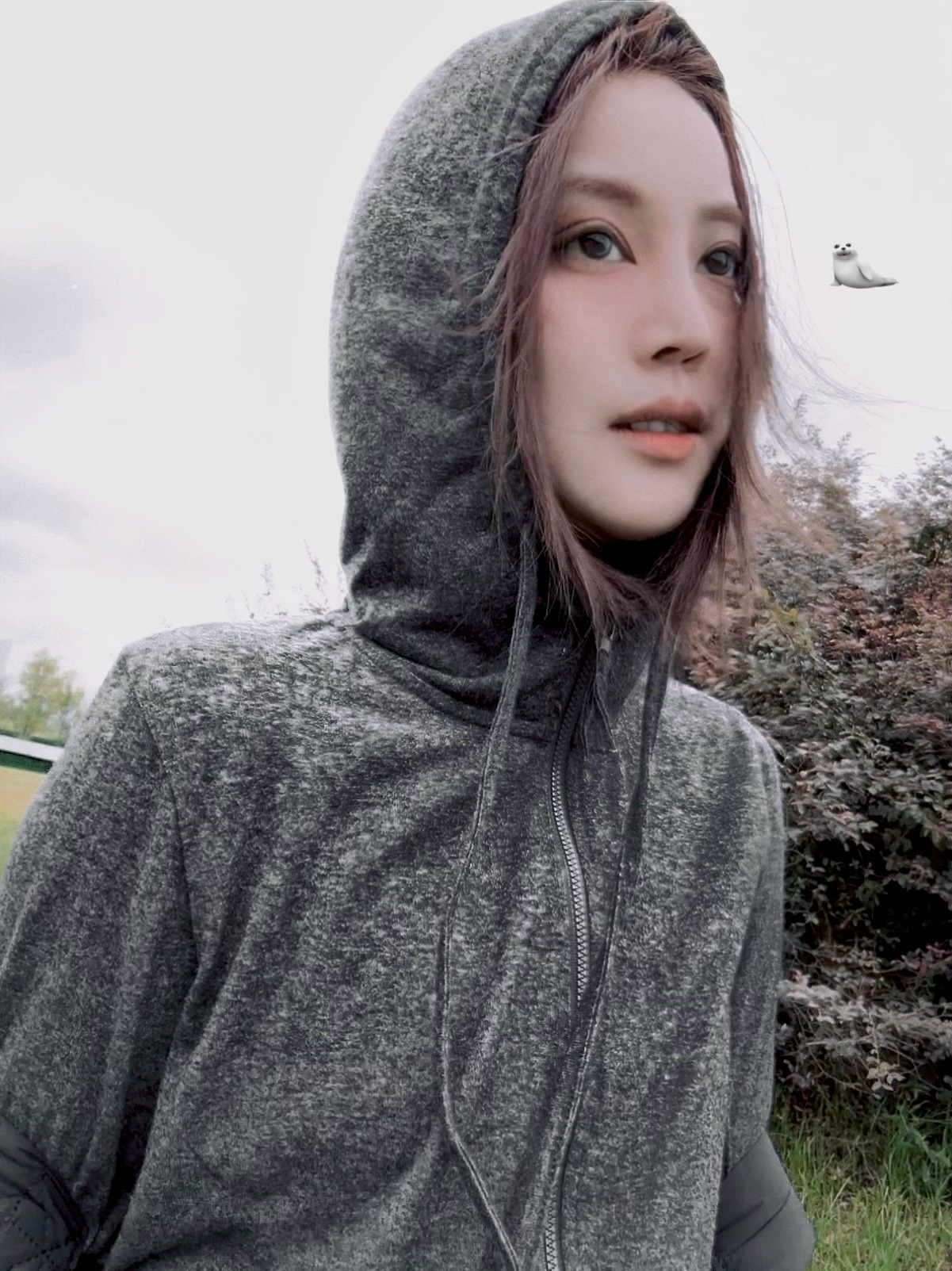 这是今天，拉开窗帘，发现天空中大朵灰色乌云和小小雨粒，像竖琴般阴郁而爽朗的气候令