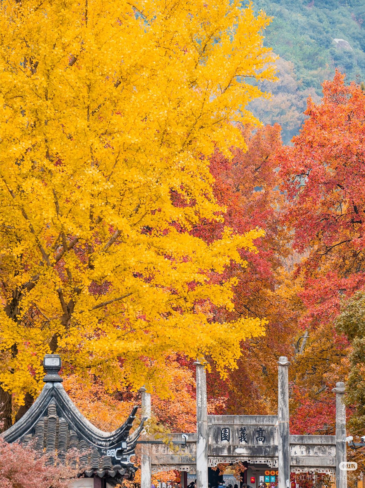 苏州天平山🍁层林尽染🍁

被誉为中国[四R]大赏秋地🍁之一的
苏州天平山⛰