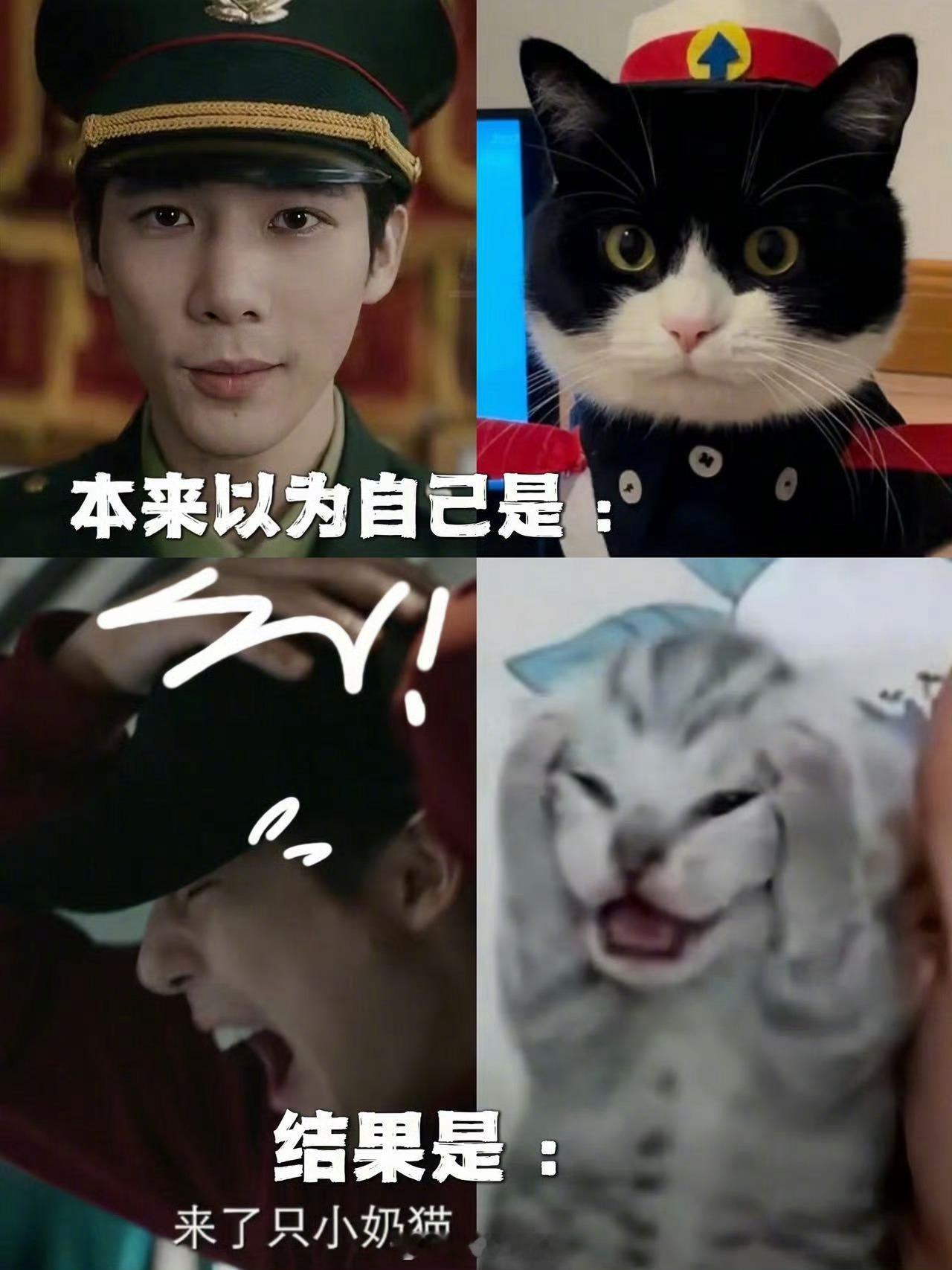 王安宇当卧底写日记明人不说暗语王安宇在《毕正明的证明》里的表演太有层次感了！从最