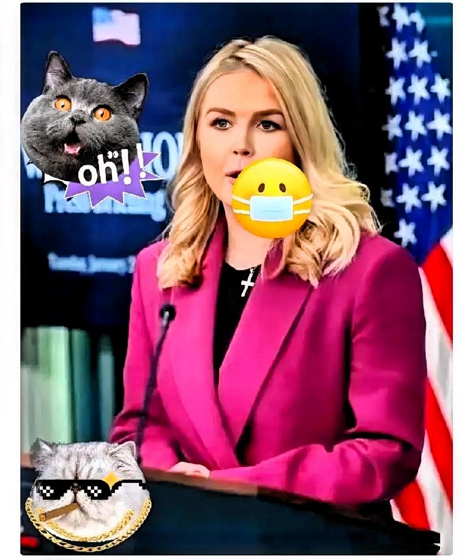 就在刚刚
美国白宫宣布
10月21日，白宫突然宣布，澳大利亚的养老金，到2035